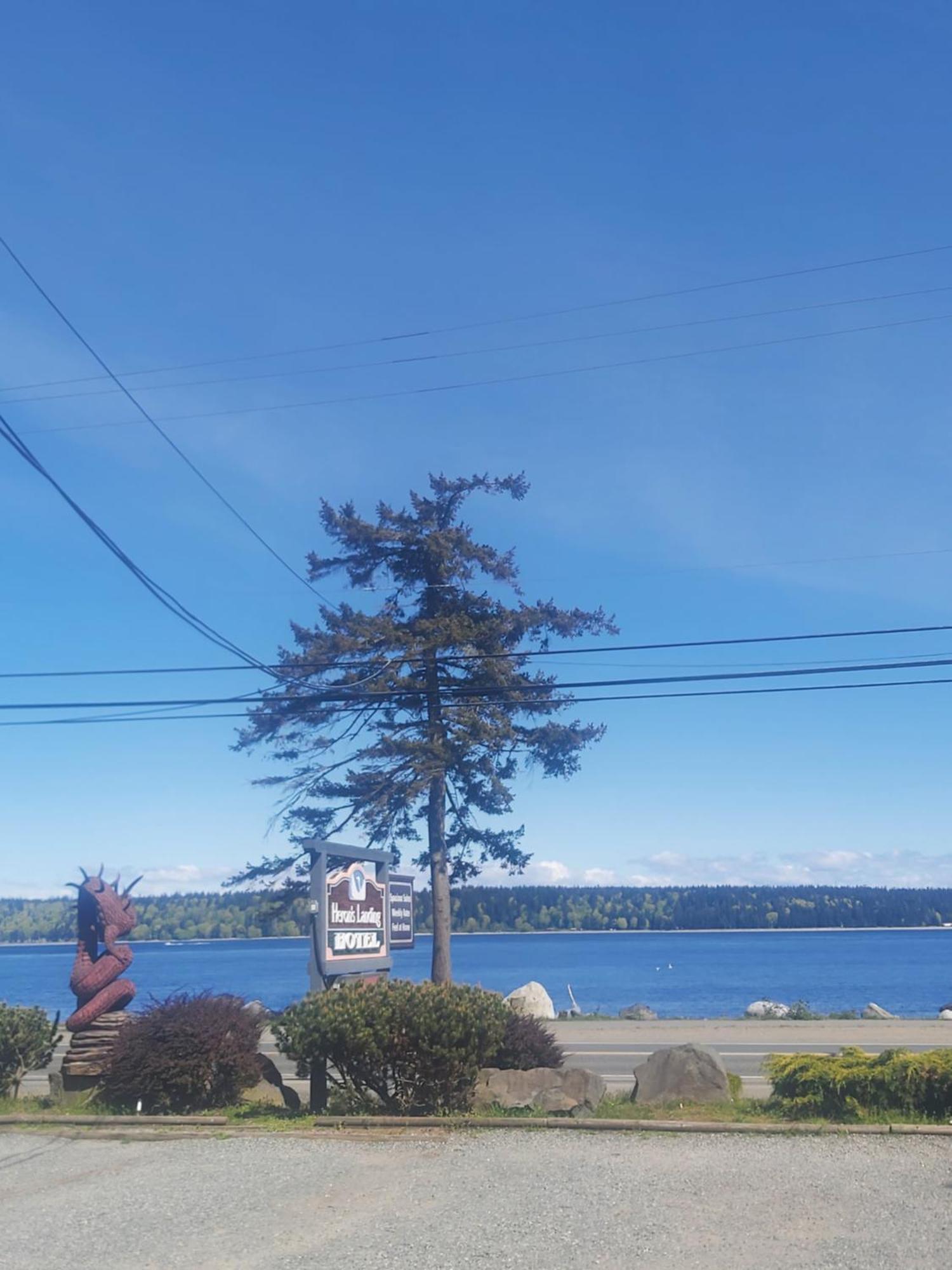 Heron'S Landing Hotel Campbell River Kültér fotó