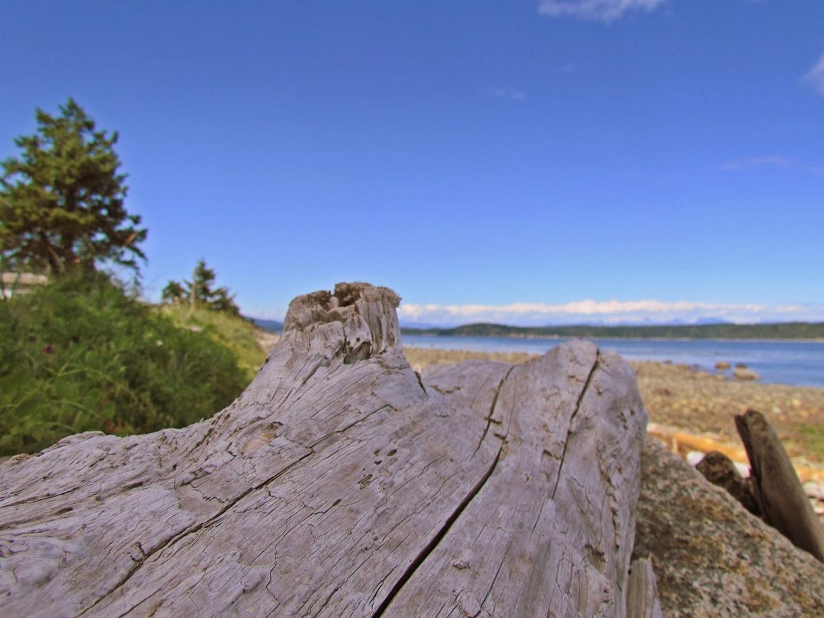 Heron'S Landing Hotel Campbell River Kültér fotó